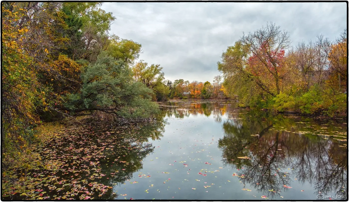 Credit River in Erin