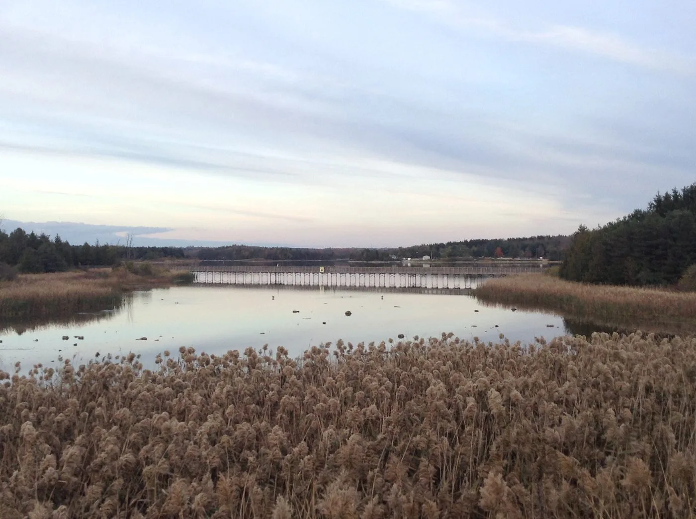 Orangeville Reservoir